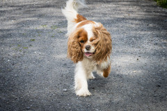 20230430-_DSC1392-Verbessert-RR