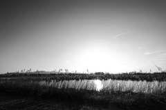 Schleienlöcher_WalterDeMeijer-13