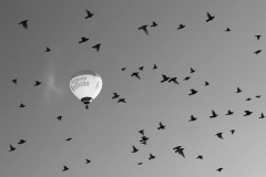005_Ballonbegleiter_GiselaKuzel