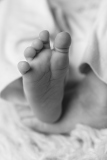044_KleineZehen_JuliaEgender 044_KleineZehen_JuliaEgender