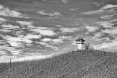 096_Weinberg_Bertram