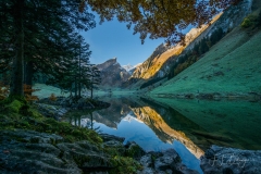 Böhringer_SeealpseeS