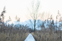 Ein eiskalter Wintermorgen