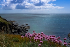 Küste Süd-England