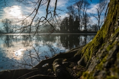 Leben aus dem Wasser