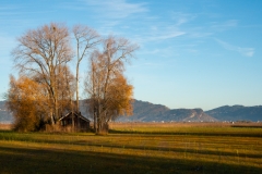 Verborgenes Haus