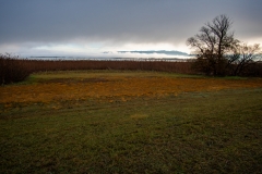 Winterfarben