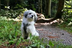 IMG_8508xx