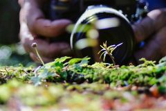 IMG_8542Nx