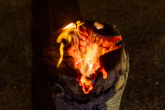 0049__Weihnachtshock-FT-Digital-2021-12-15@Fotoprofi-Digital-2021