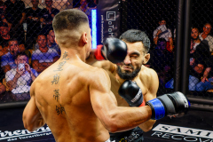 WSFC-7-unbreakable-07_Wernfried_2024