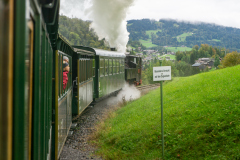 Waelderbaehnle-6_Wernfried_2024